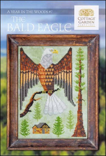 A Year in the Woods 7: The Bald Eagle - Cottage Garden Samplings